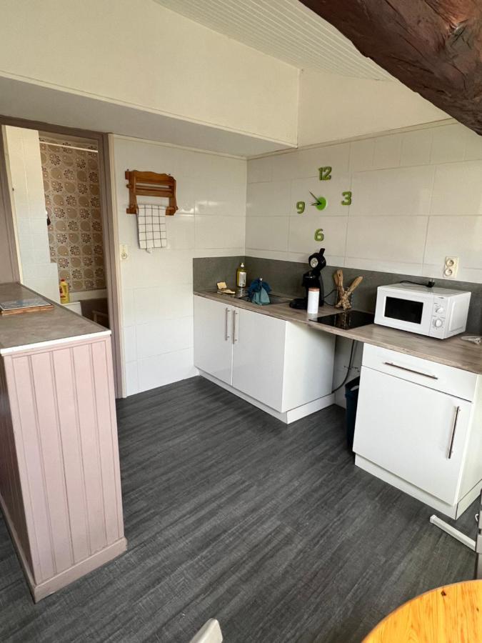 Appartement Centre Ville De カルカソンヌ エクステリア 写真